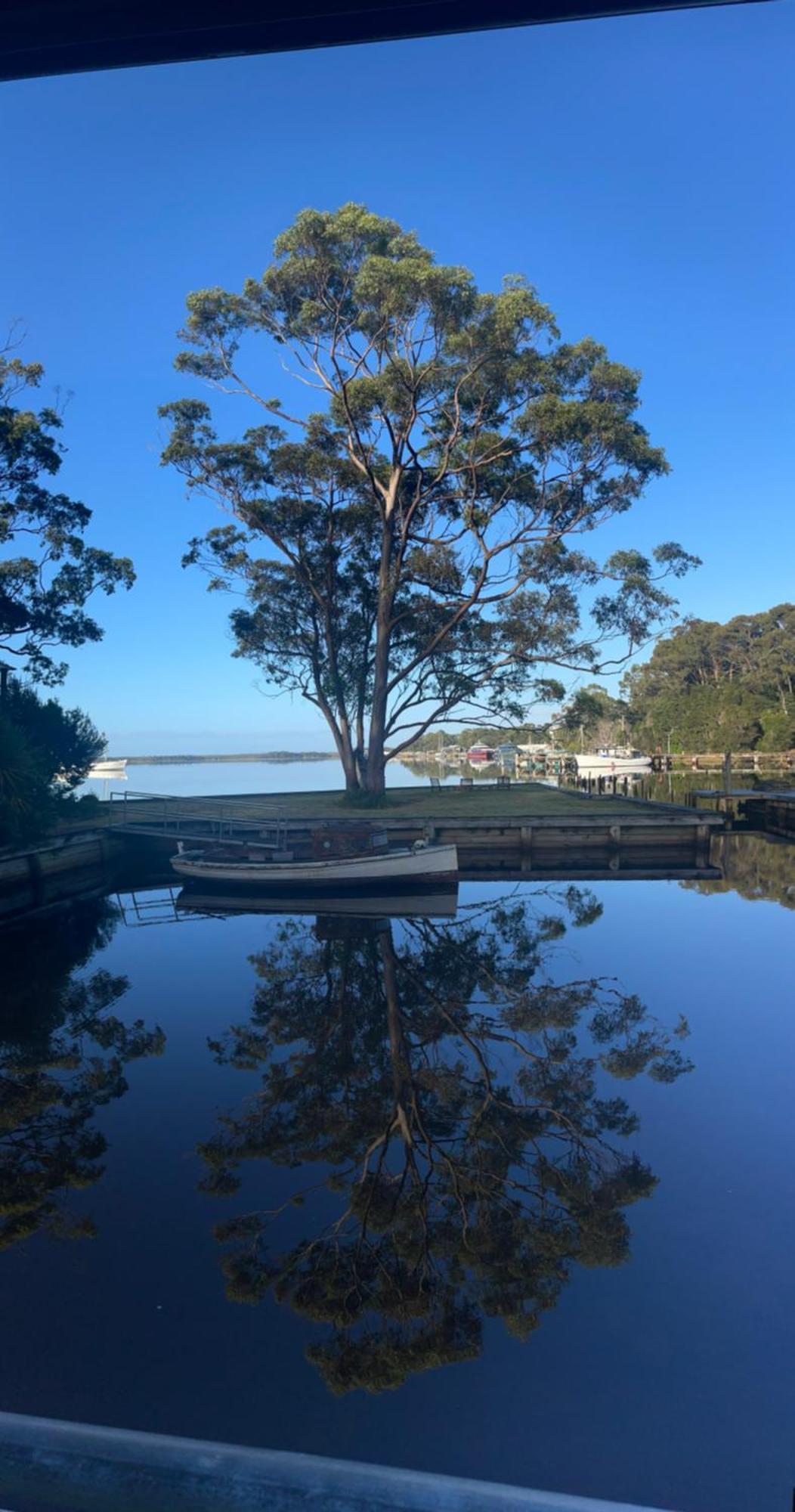 Castaway Holiday Apartments Strahan Eksteriør bilde
